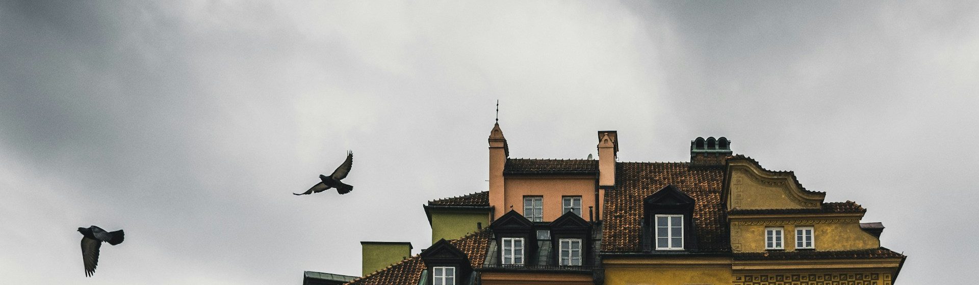 Jak ochránit fasádu před ptactvem a opravit díry