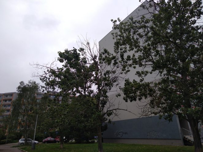 Péče o dřeviny v Praze 13