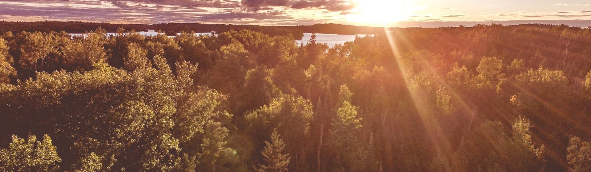 Co je biomasa a jak ji zpracovat?