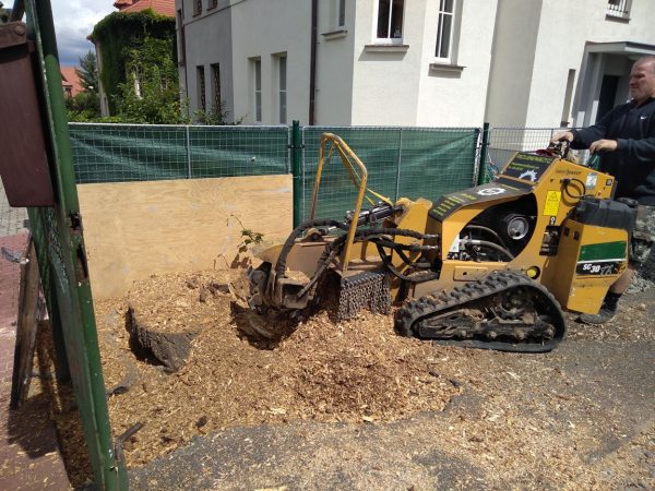 Rizikové kácení stromu: Praha