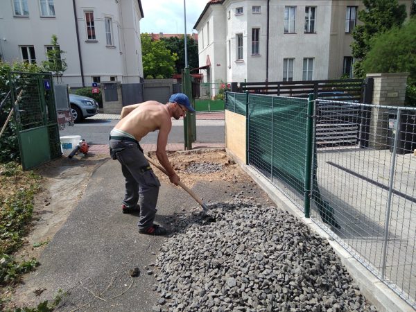 Rizikové kácení stromu: Praha