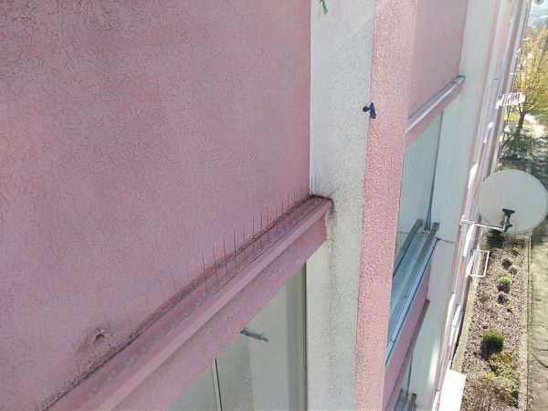 Montáž hrotů proti holubům: Praha