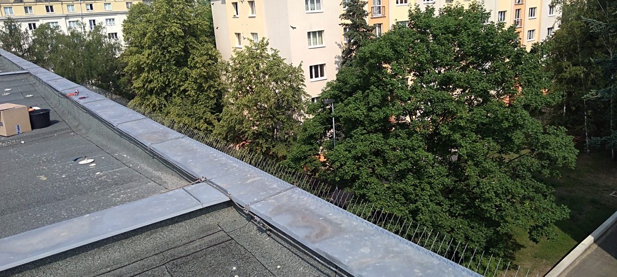 Montáž hrotů proti holubům: Praha