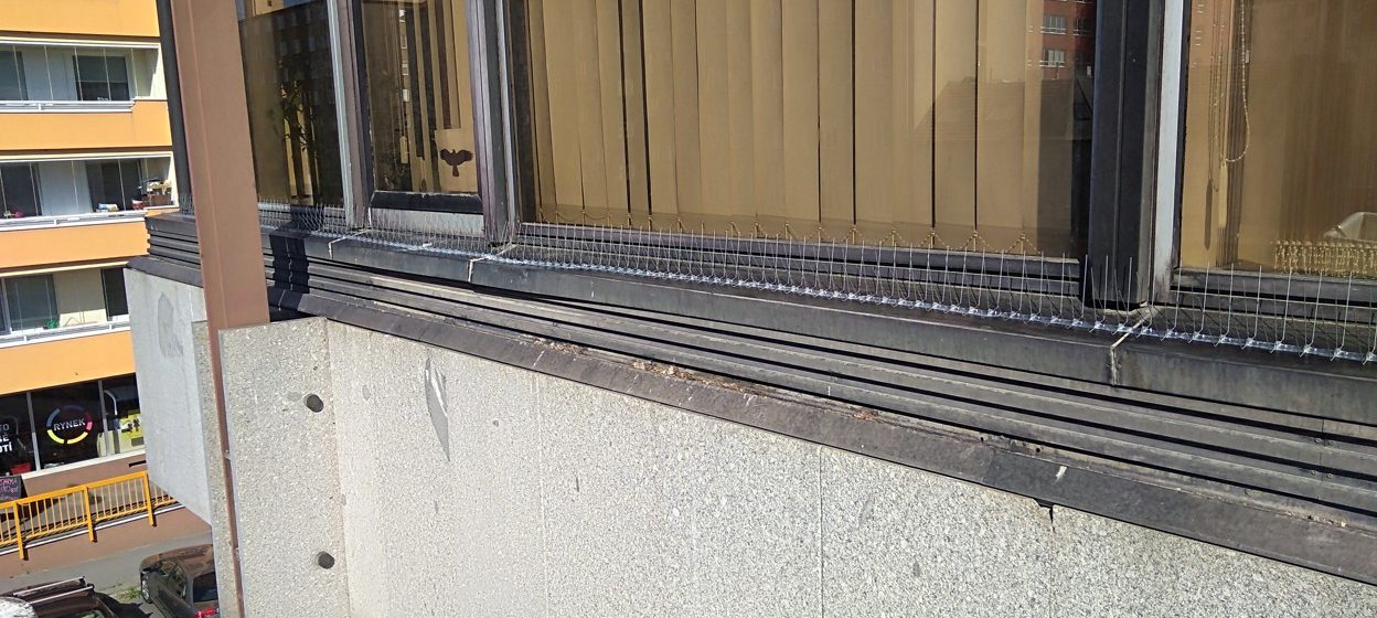 Hroty proti vlaštovkám na římsy a okna