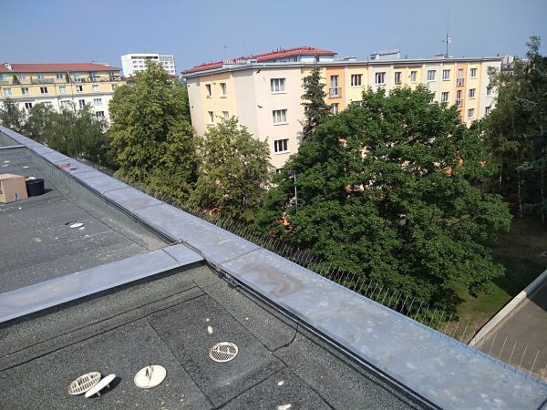 Montáž hrotů proti holubům: Praha