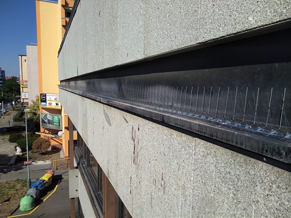 Hroty proti ptactvu, montáž – Praha