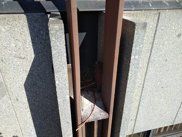 Hroty proti ptactvu, montáž – Praha