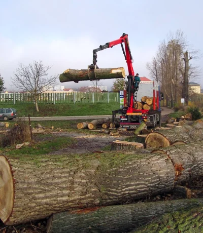 Zpracování biomasy