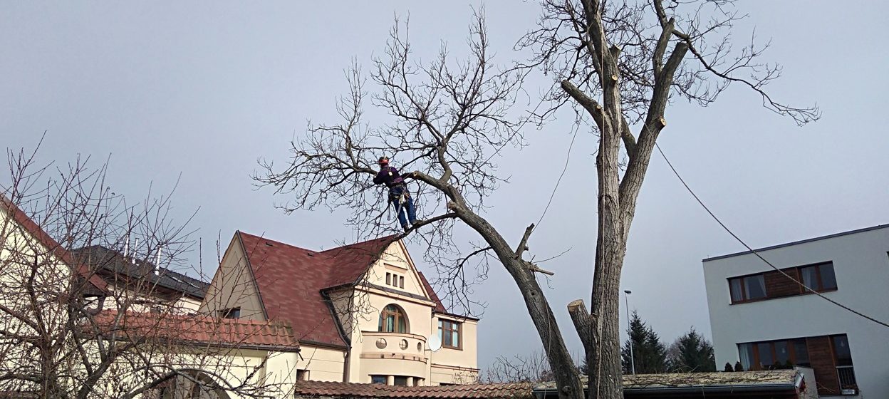 Bezpečnost práce ve výškách: Na co si dát pozor?