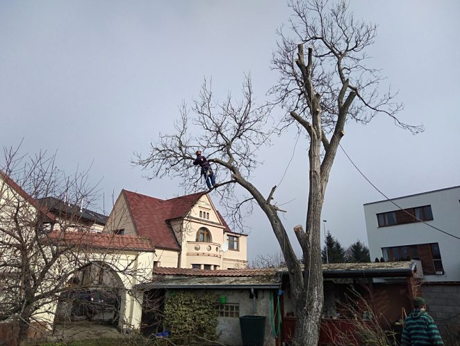 Bezpečnost práce ve výškách: Na co si dát pozor?