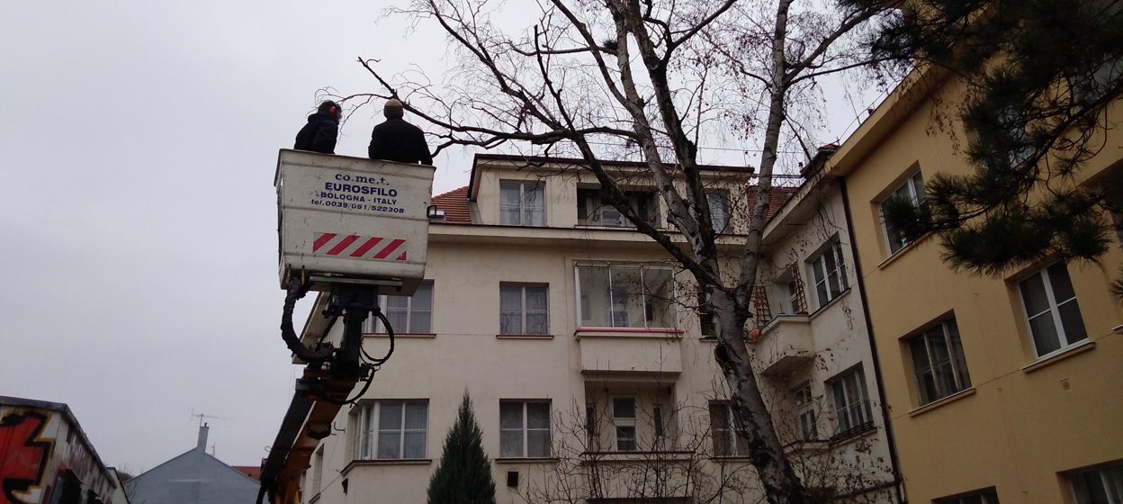 Rizikové kácení stromu: Praha