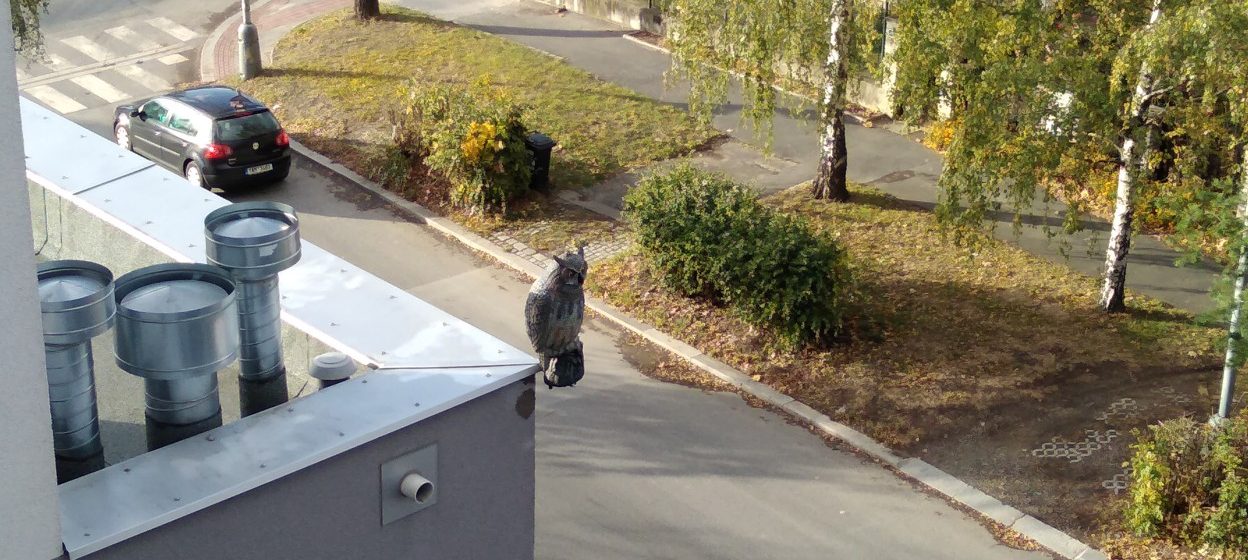 Maketa dravce: Vyplatí se pořídit na balkón či fasádu?