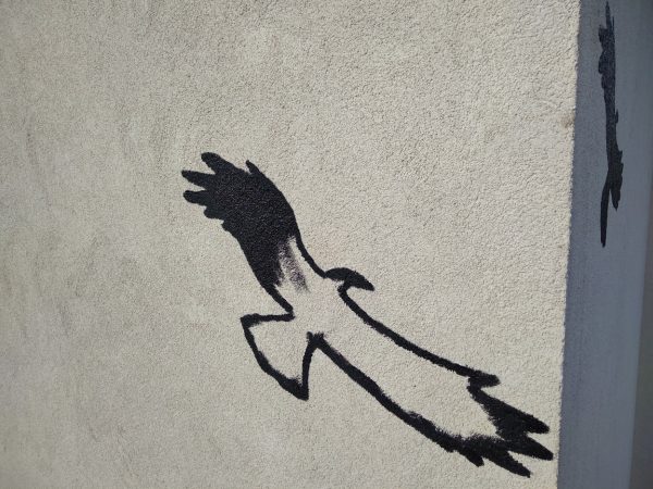 Oprava fasády poškozené ptáky: Praha