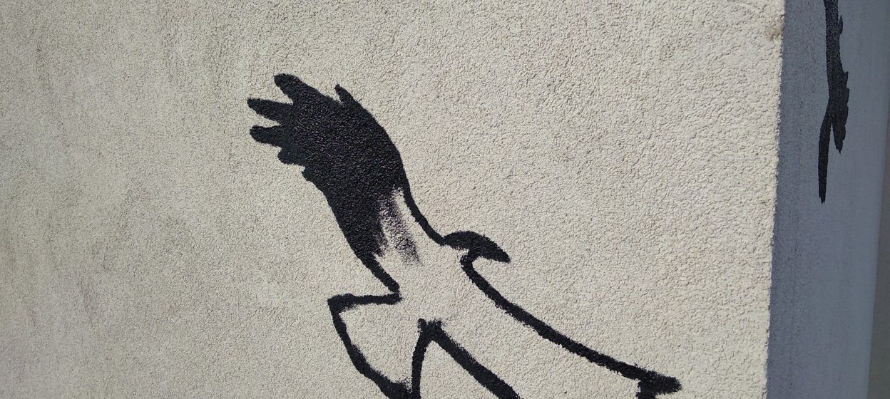 Oprava fasády poškozené ptáky: Praha