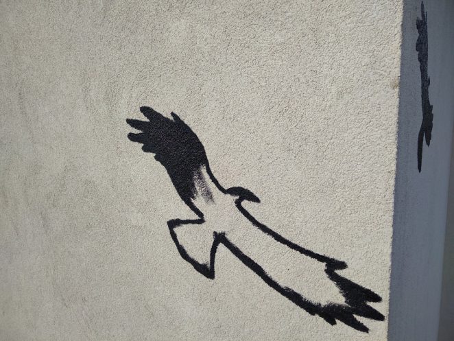 Oprava fasády poškozené ptáky: Praha