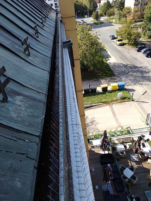 Hroty proti ptactvu – jak by to (ne)mělo vypadat?