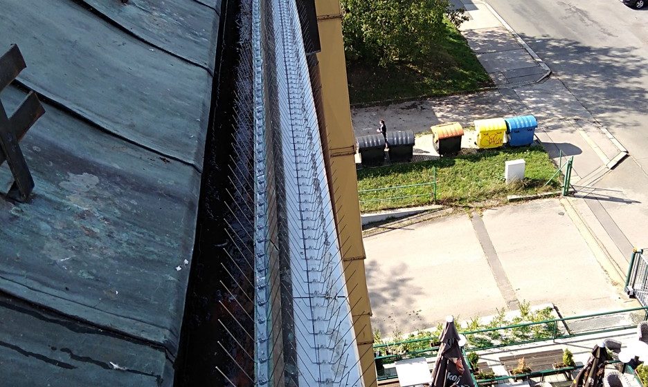 Hroty proti ptactvu – jak by to (ne)mělo vypadat?