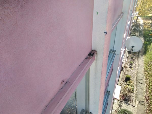 Montáž hrotů proti holubům: Praha