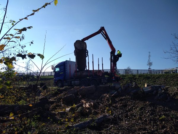 Rizikové kácení a prořez stromů: Praha – Radotín