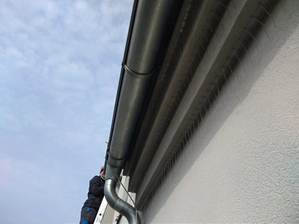 Montáž zábran proti jiřičkám: Úvaly