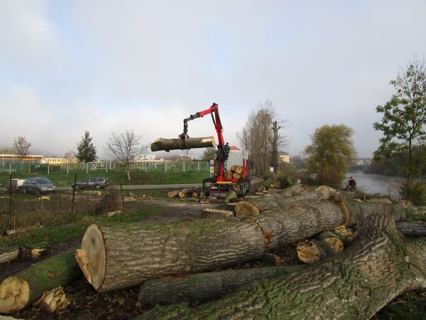 Rizikové kácení a prořez stromů: Praha – Radotín