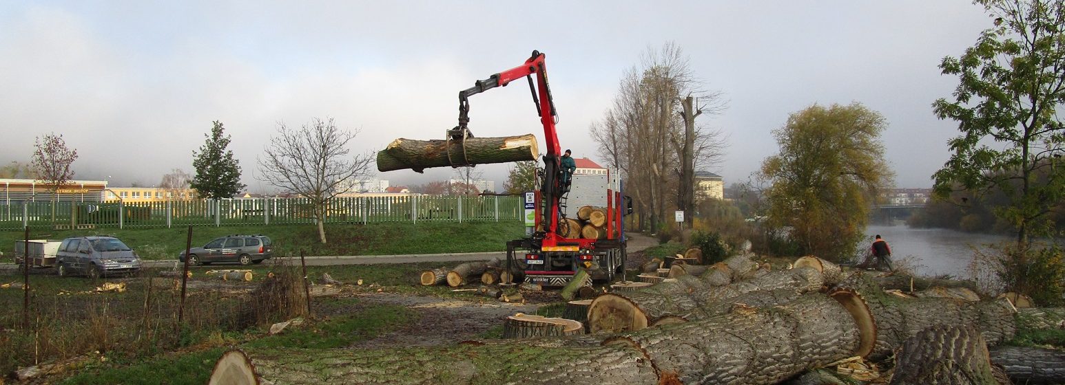 Konec období vegetačního klidu