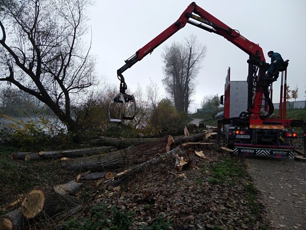 Rizikové kácení a prořez stromů: Praha – Radotín