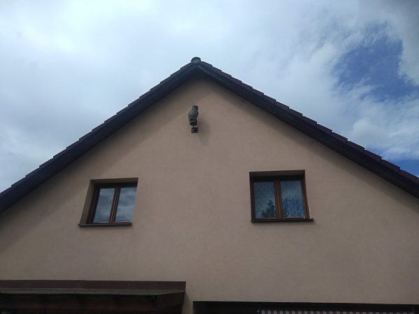 Oprava děr od strakapouda: Praha