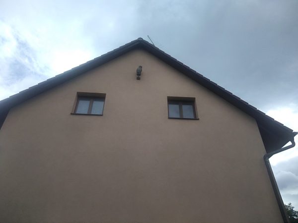 Oprava děr od strakapouda: Praha