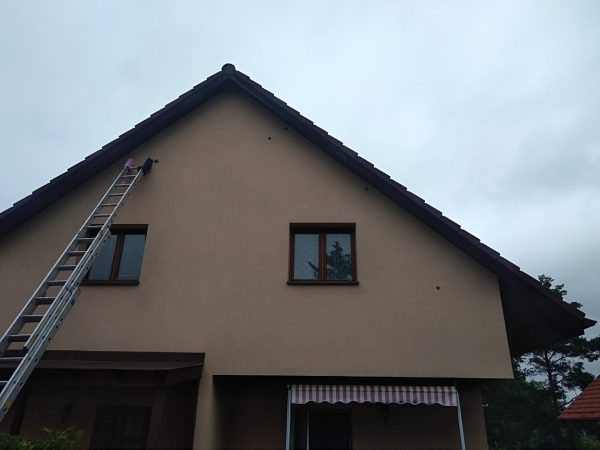 Oprava děr od strakapouda: Praha