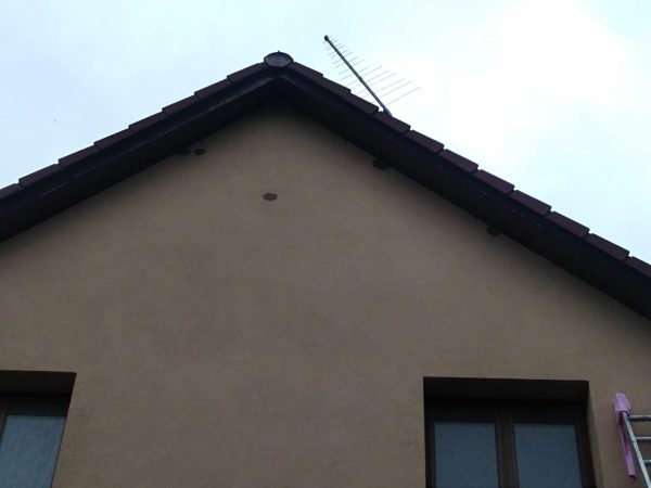 Oprava děr od strakapouda: Praha