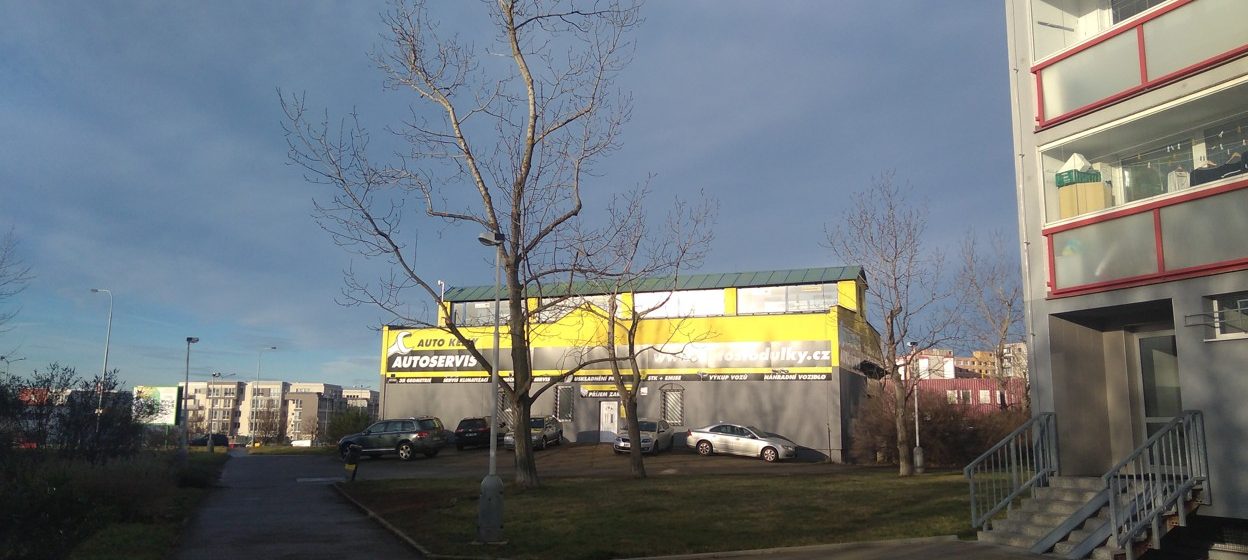 Péče o dřeviny v Praze 13 – 1