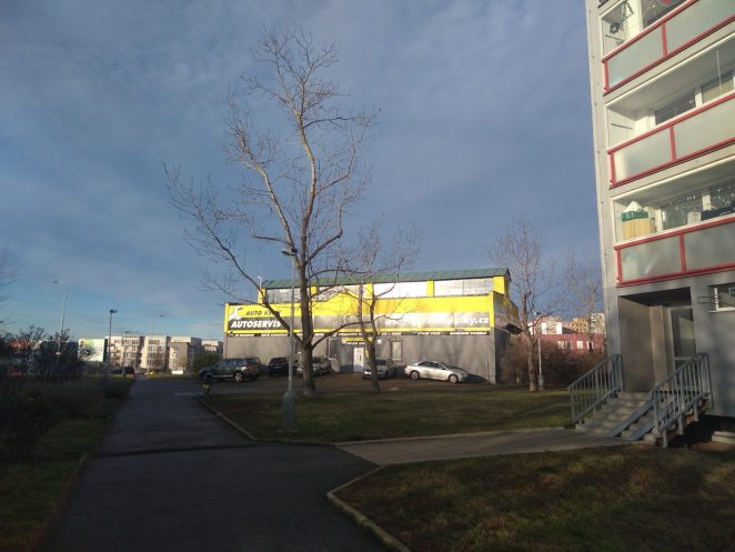 Péče o dřeviny v Praze 13 – 1