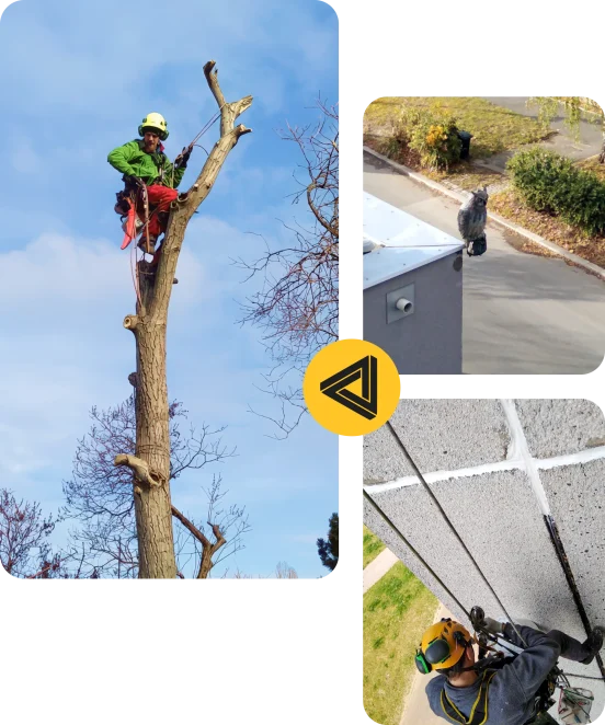 RizikaBezRizika.cz - Výškové práce a arboristika - Hlavní stránka