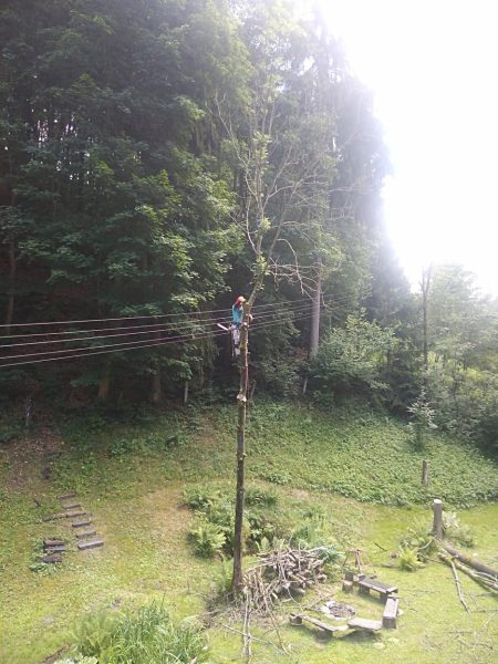 Rizikové kácení stromů: liberecký kraj