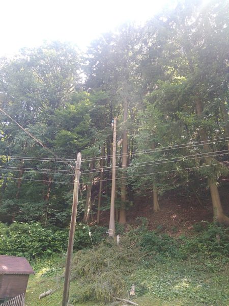 Rizikové kácení stromů: liberecký kraj