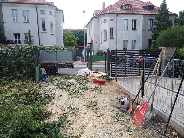 Rizikové kácení stromu: Praha