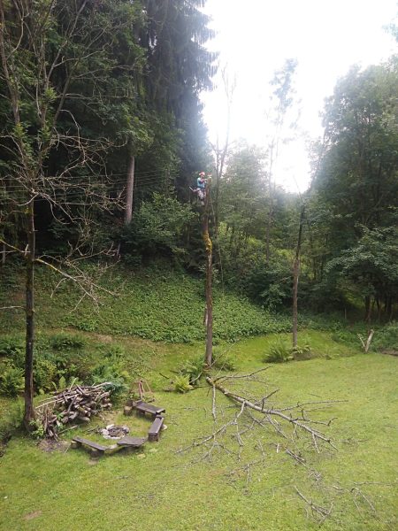 Rizikové kácení stromů: liberecký kraj
