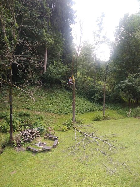 Rizikové kácení stromů: liberecký kraj