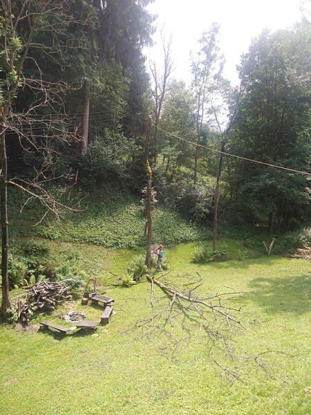 Rizikové kácení stromů: liberecký kraj