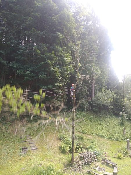 Rizikové kácení stromů: liberecký kraj