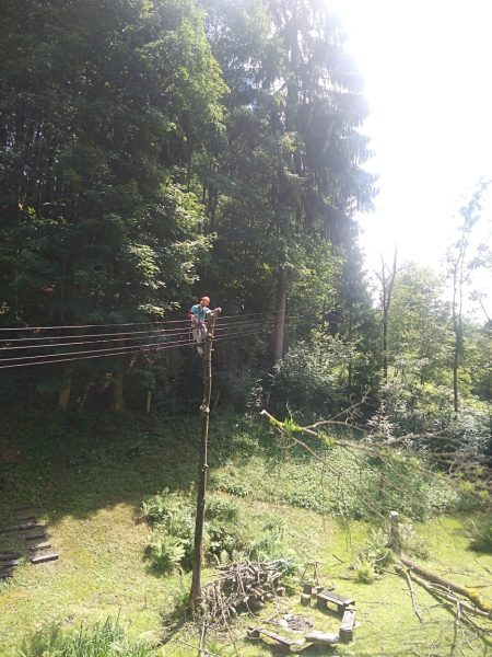 Rizikové kácení stromů: liberecký kraj