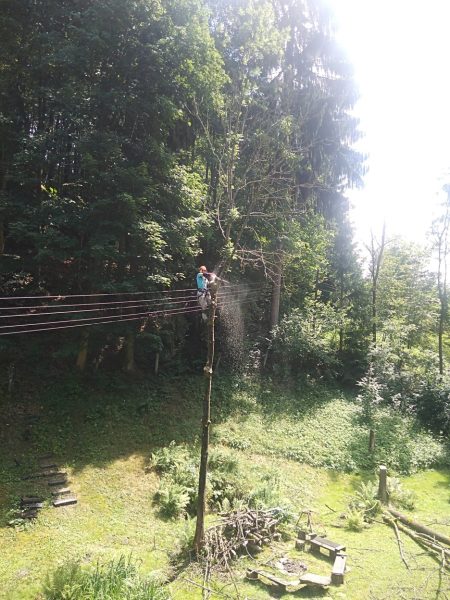 Rizikové kácení stromů: liberecký kraj