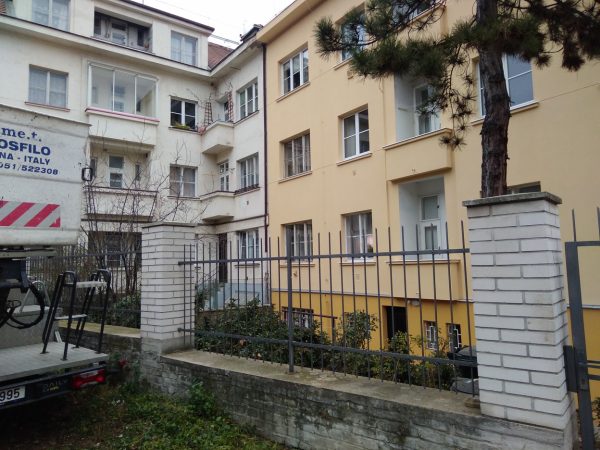 Rizikové kácení stromu: Praha