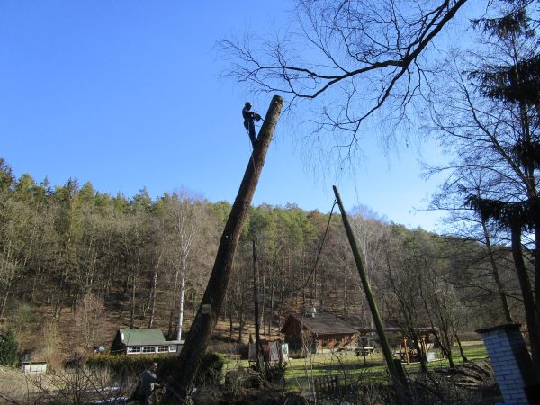 Rizikové kácení stromu: Mostecký mlýn