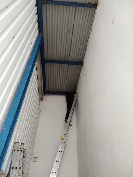 Montáž zábran proti jiřičkám: Poděbrady