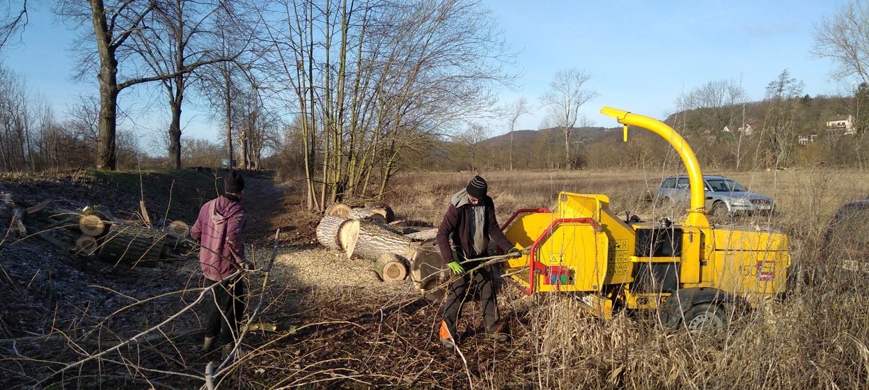 Štěpkování či drcení větví aneb co s odpadem po kácení stromů