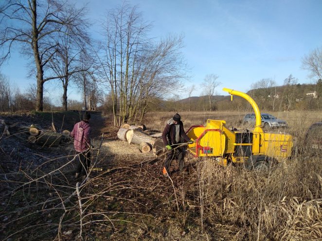 Štěpkování či drcení větví aneb co s odpadem po kácení stromů