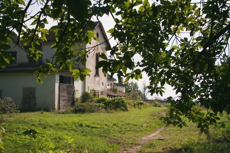 Jak na kácení stromů na vlastním pozemku