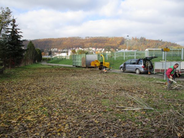 Rizikové kácení a prořez stromů: Praha – Radotín